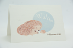 geboortekaartje willow lichtblauw